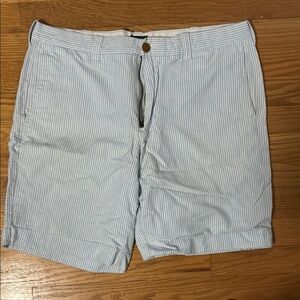 Blue Striped Men's Shorts